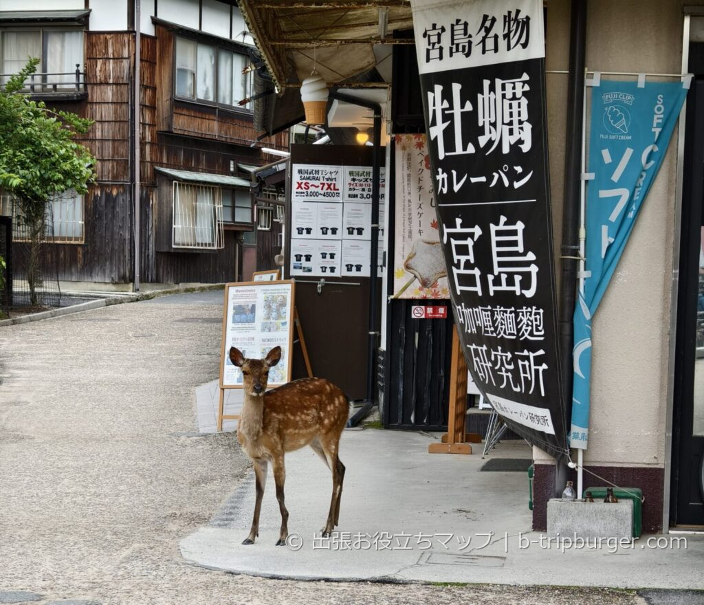 宮島の鹿とカレーパン
